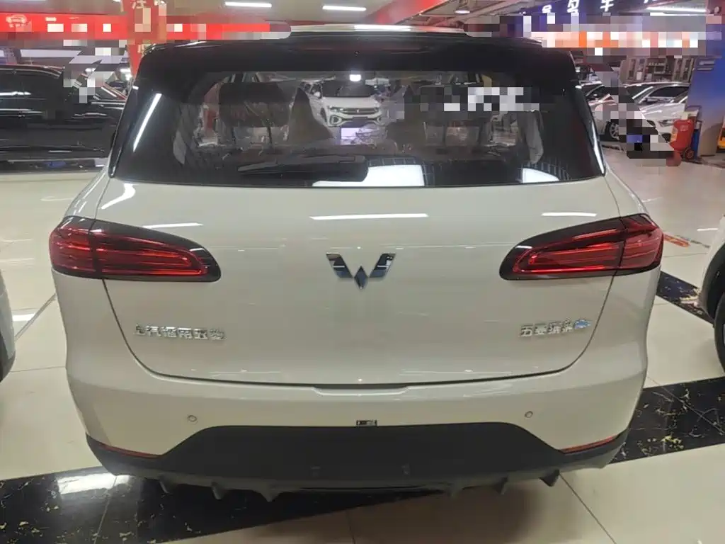 Wuling Motors Wuling Binguo PLUS 2026 2024 401km Range 5-seater