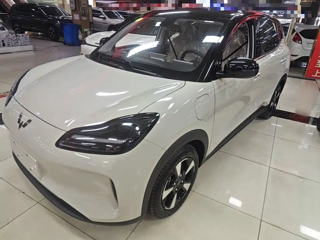 Wuling Motors Wuling Binguo PLUS 2026 2024 401km Range 5-seater