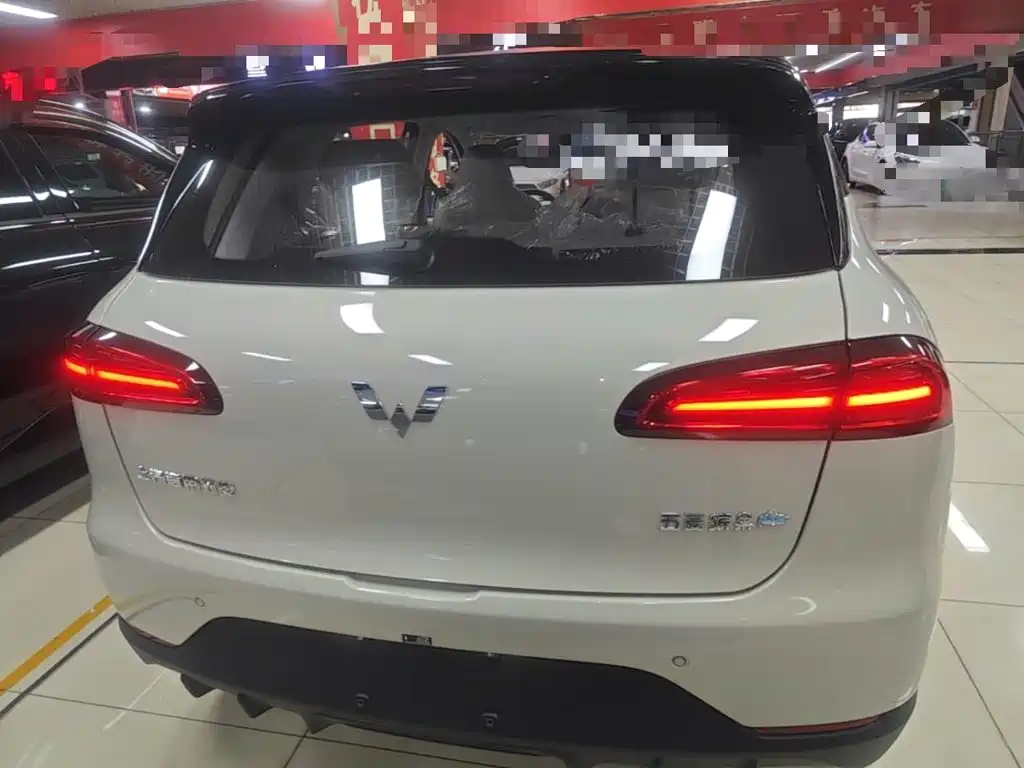 Wuling Motors Wuling Binguo PLUS 2026 2024 401km Range 5-seater