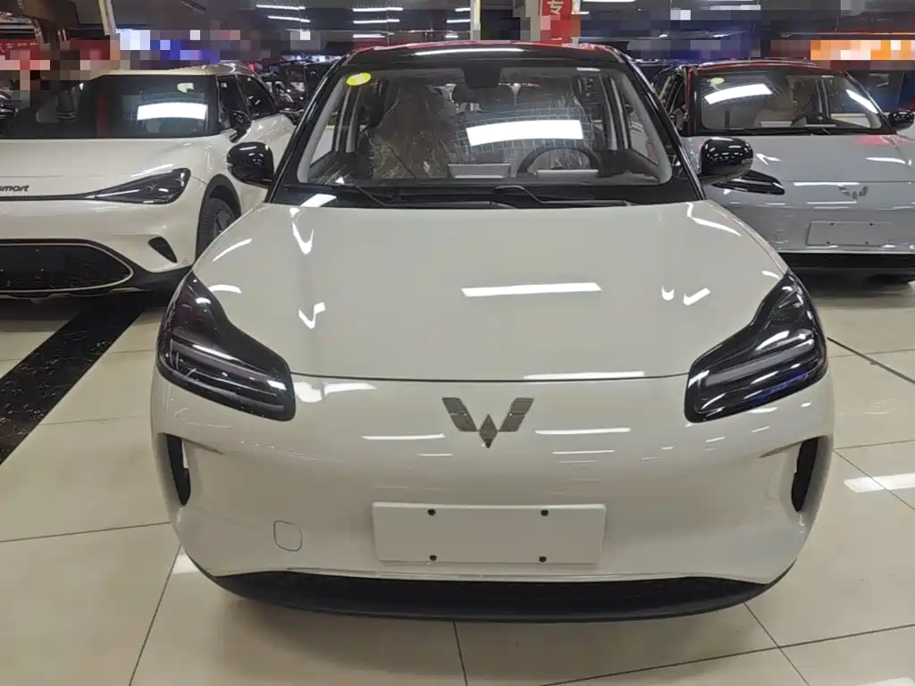 Wuling Motors Wuling Binguo PLUS 2026 2024 401km Range 5-seater