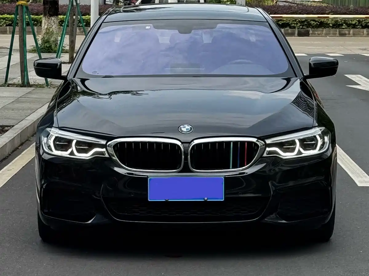 BMW 5 Series 2020 530Li Leading M Sport Package фото 2