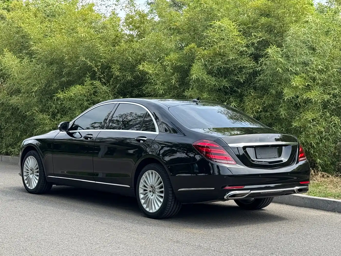 Mercedes-Benz S-Class 2020 S 350 L Business Edition Collector's Version фото 14