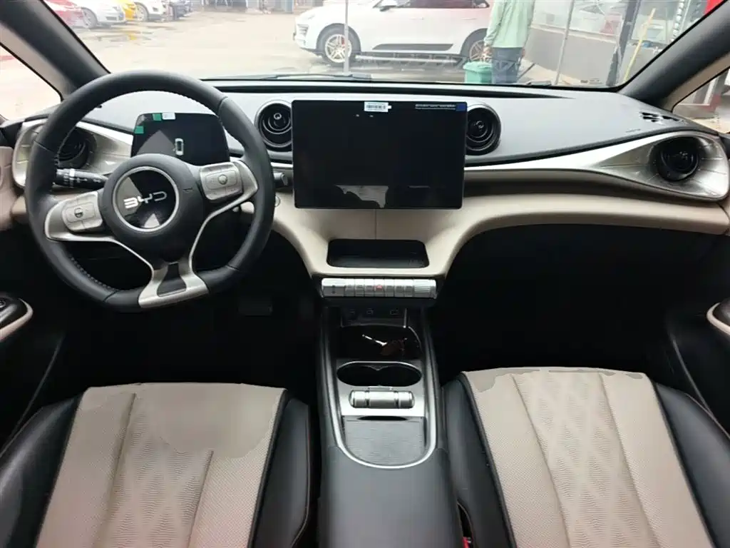 BYD Dolphin 2025 420km Freedom Edition фото 10