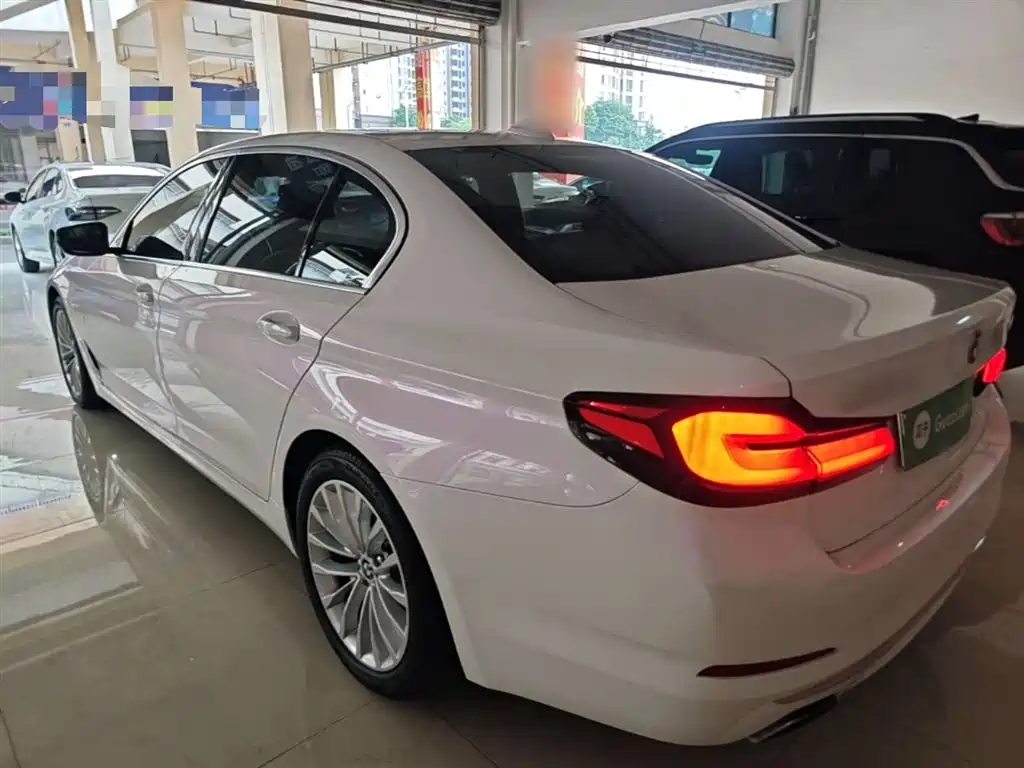 BMW 5 Series New Energy 2020 530Le Range Upgrade Pioneer Edition фото 5