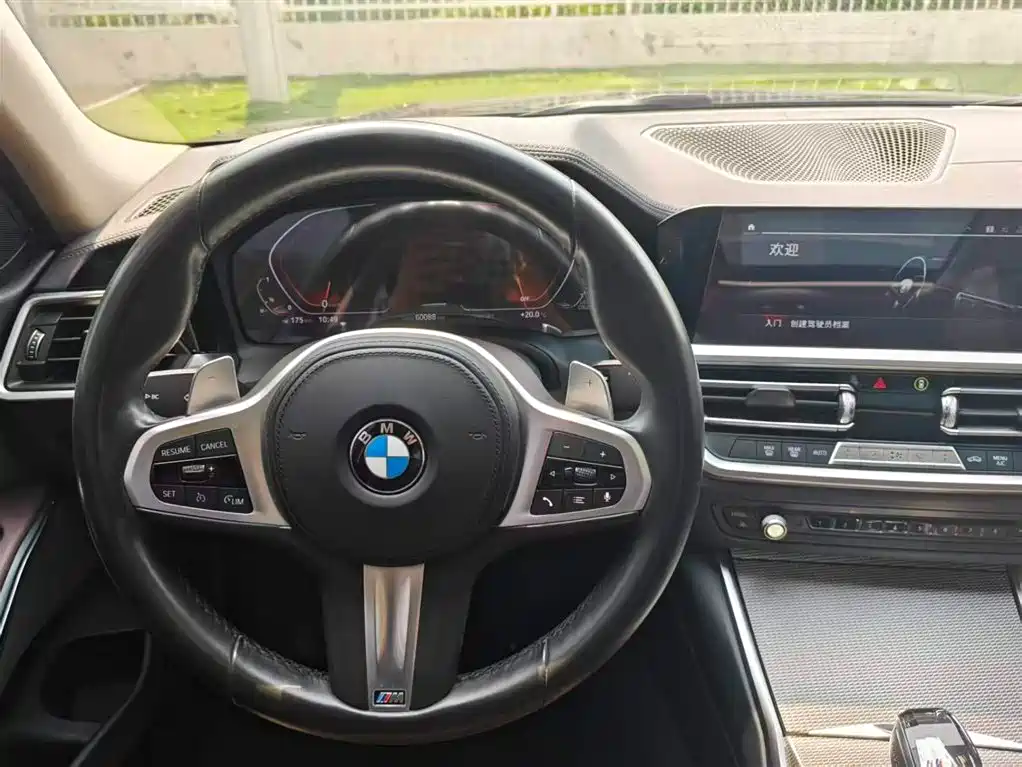 BMW 3 Series 2020 325Li M Sport Black Night Package фото 12