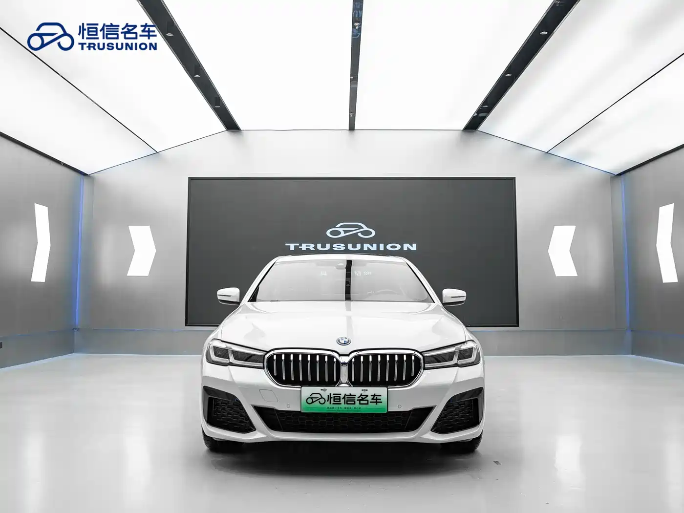 BMW 5 SERIES NEW ENERGY