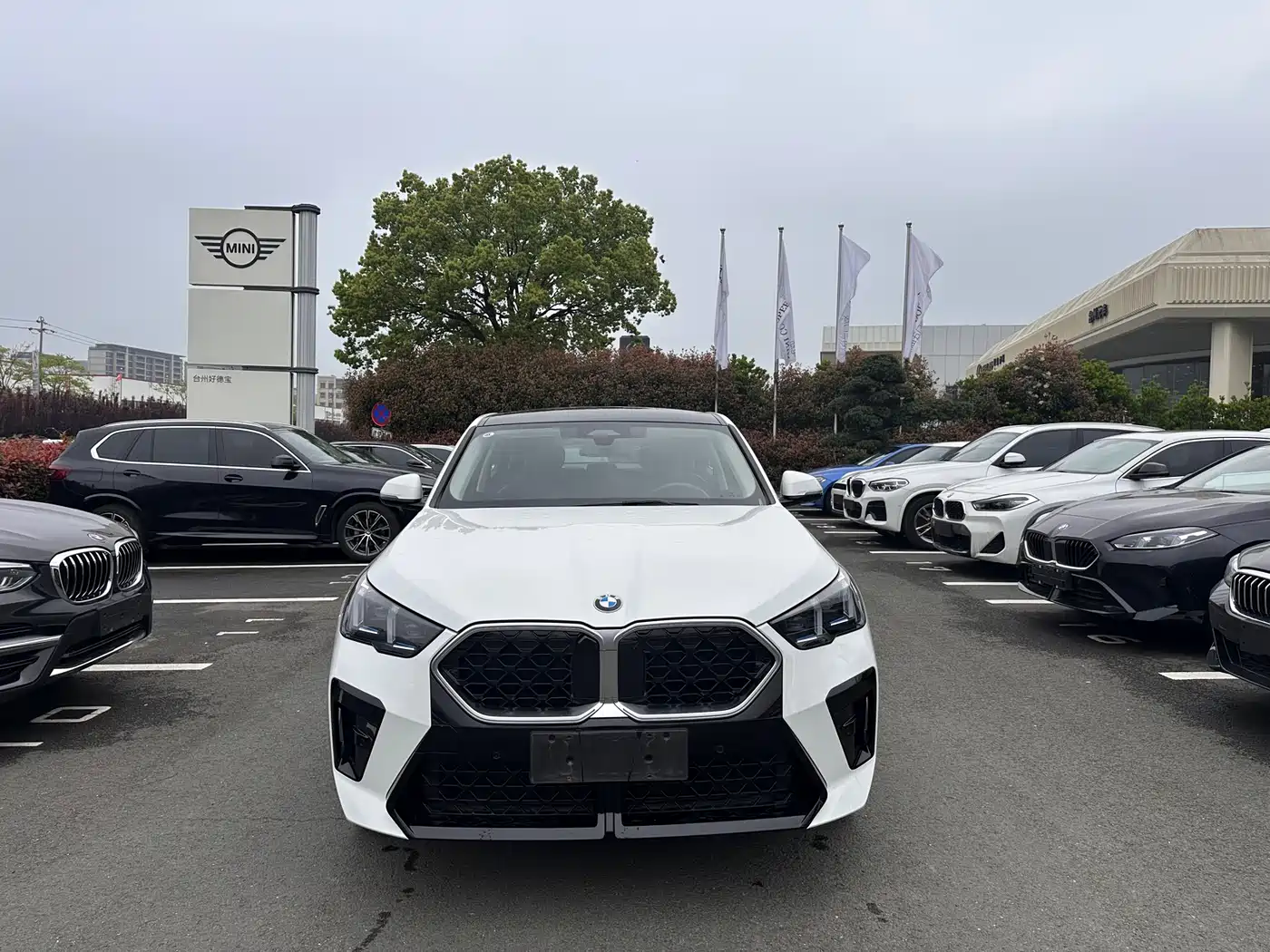 BMW X2 (Import) 2024 sDrive25i M Sport Package фото 2