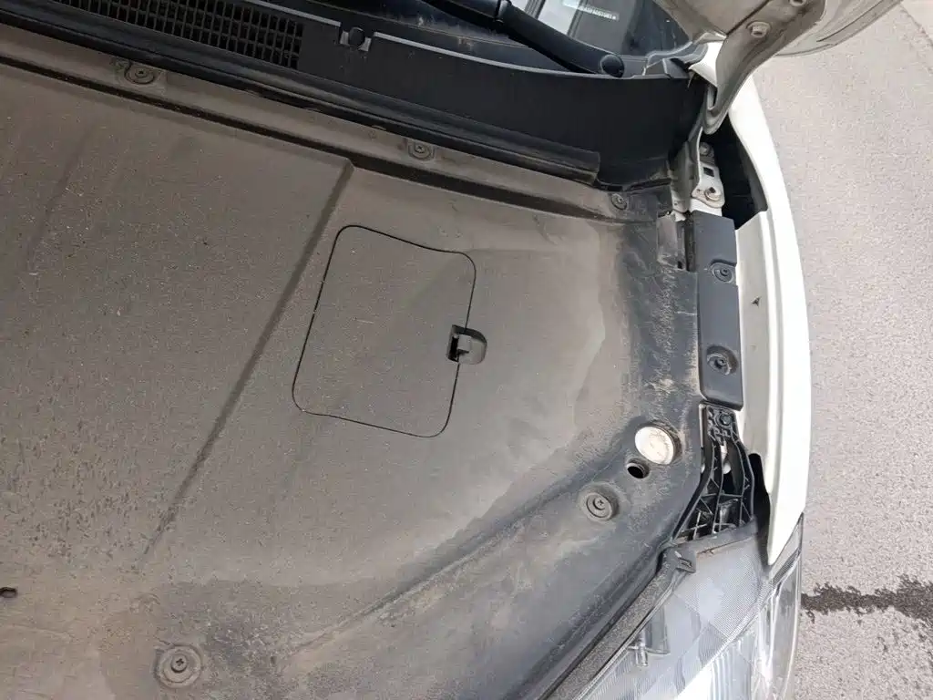 Nezha Auto Nezha V 2023 2022 Trend 300 Lite LFP