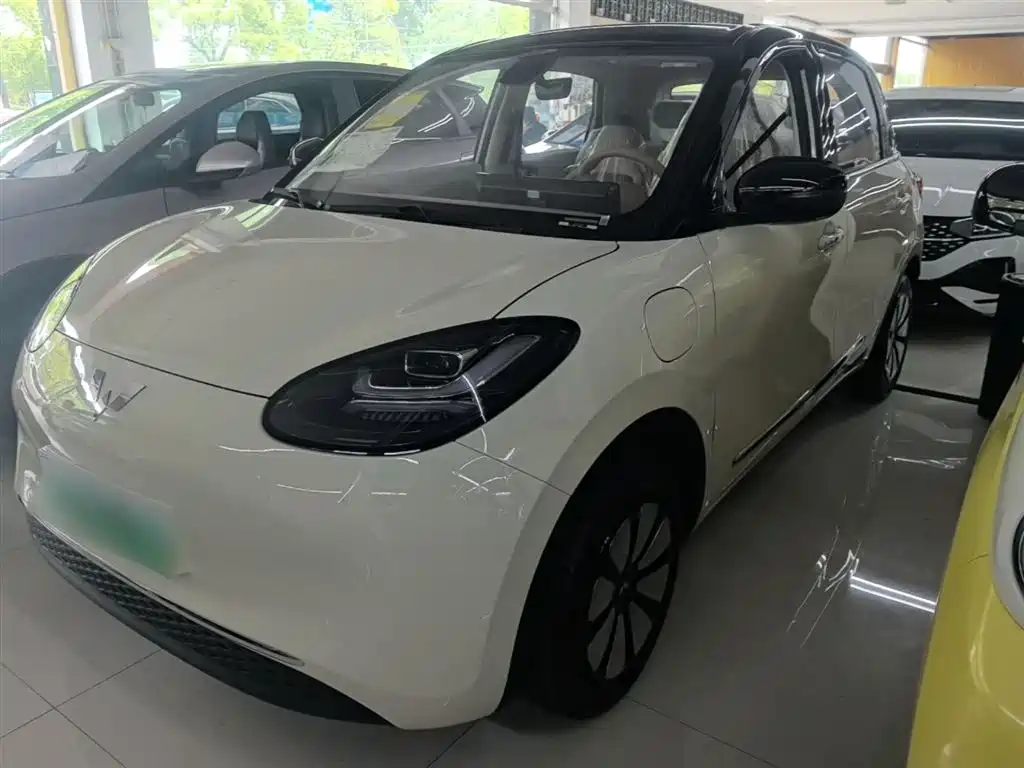Wuling Motors Wuling Bingo 2026 2025 Model 333km Joy Edition