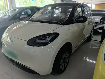 Wuling Bingo