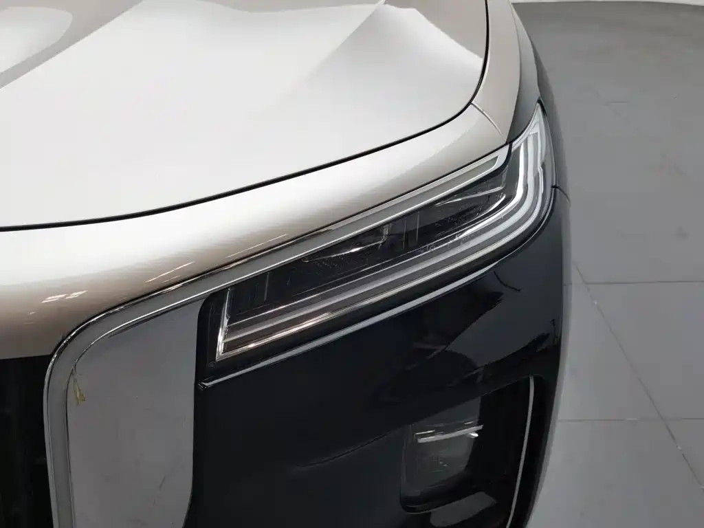 Hongqi H9, миниатюра 6