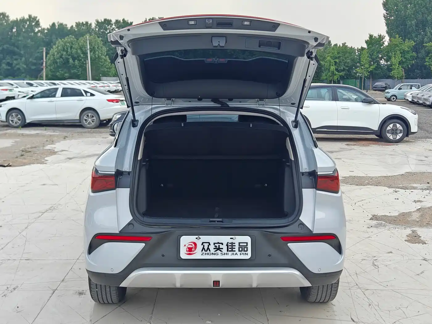 BYD Yuan PLUS 2025 Smart Drive Edition 430KM Leading фото 26