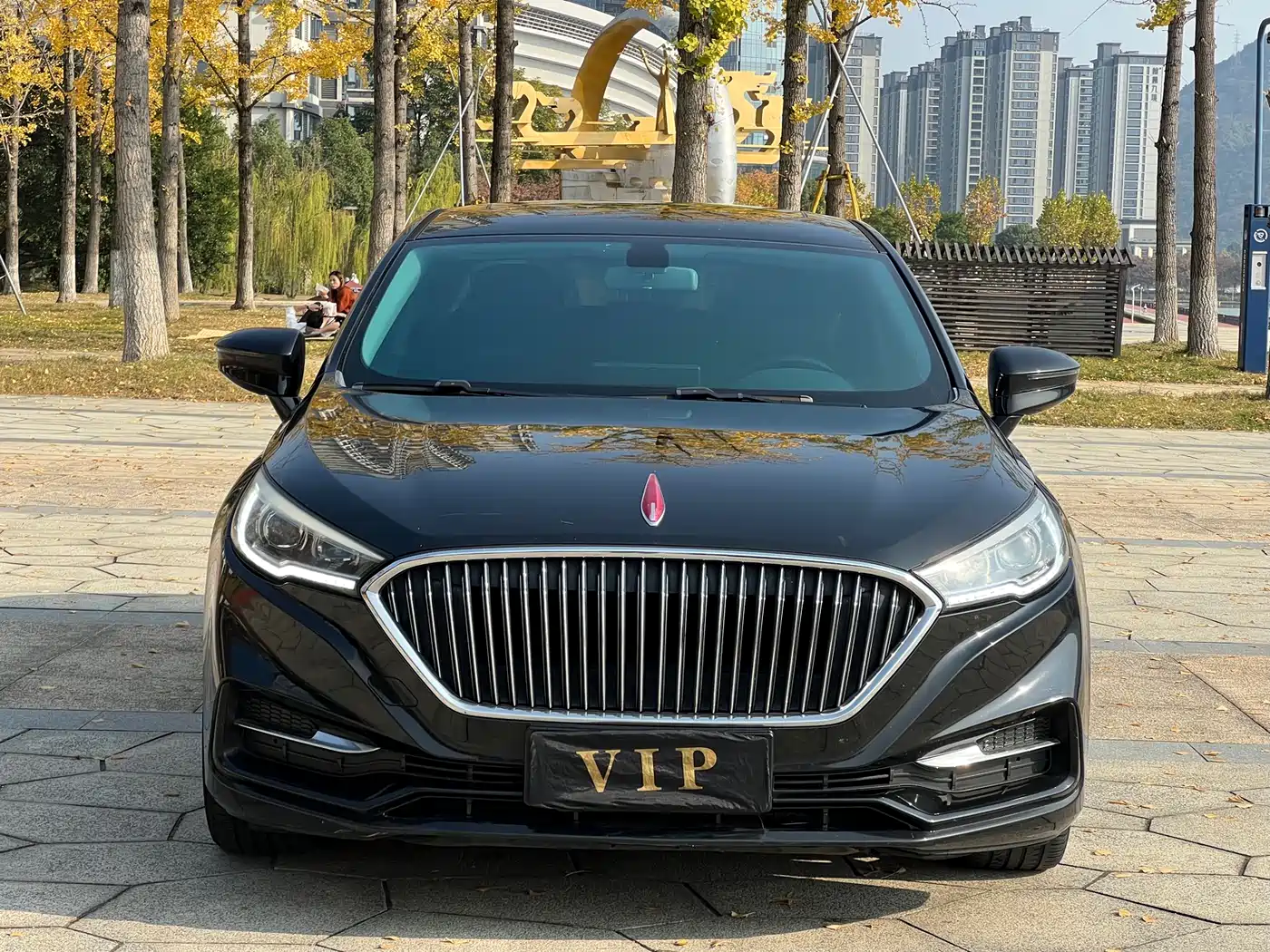 Hongqi H5 2019 30TD Style Edition фото 2