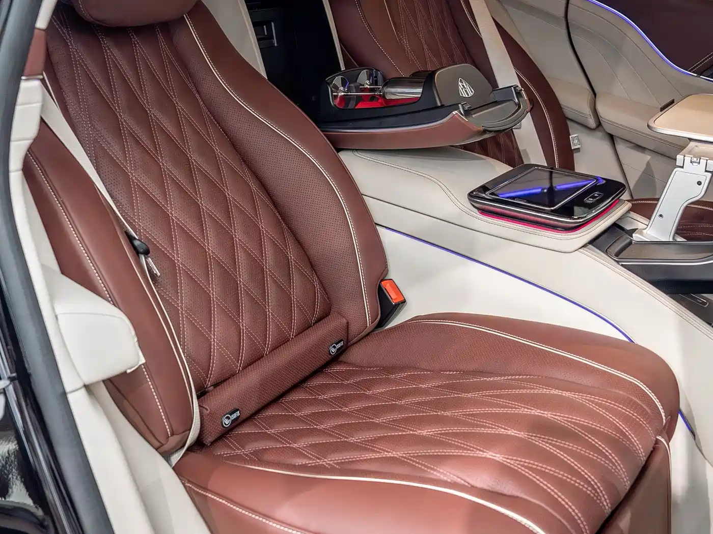 Mercedes-Benz Maybach GLS 2021 GLS 600 4MATIC Ritual Edition фото 8