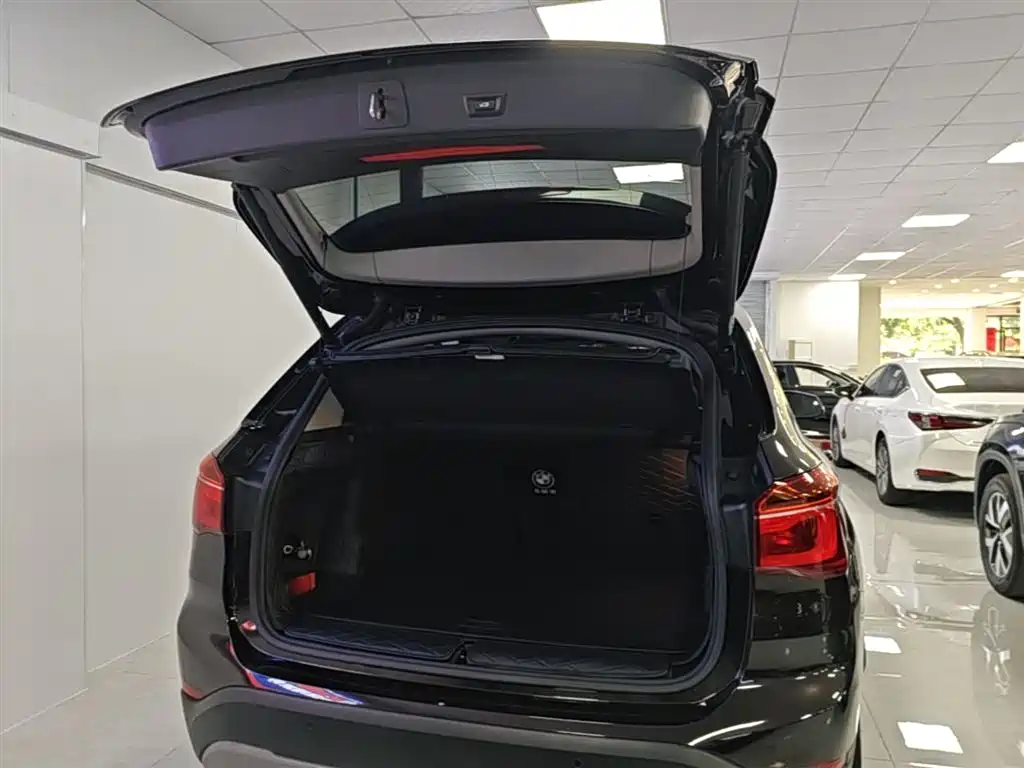 BMW X1 2018 sDrive20Li Leading Model фото 19