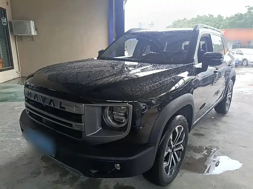 Haval Big Dog 2024 1.5T DCT Border Collie Edition