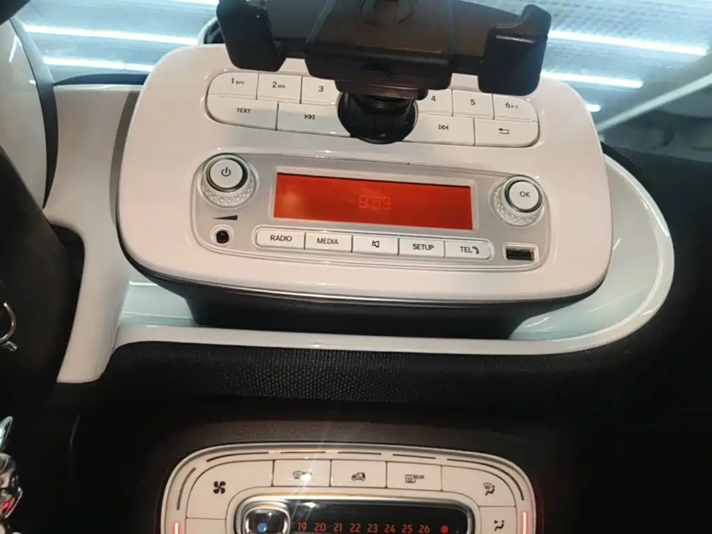 smart forfour 2018 2018 1.0L 52kW Passion Edition