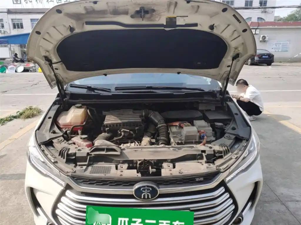 BYD Song MAX New Energy 2019 DM 1.5T Smart Connect Advance 6-seater China VI фото 11