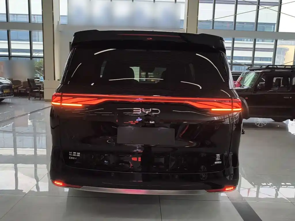 Фото 6 - BYD Xia