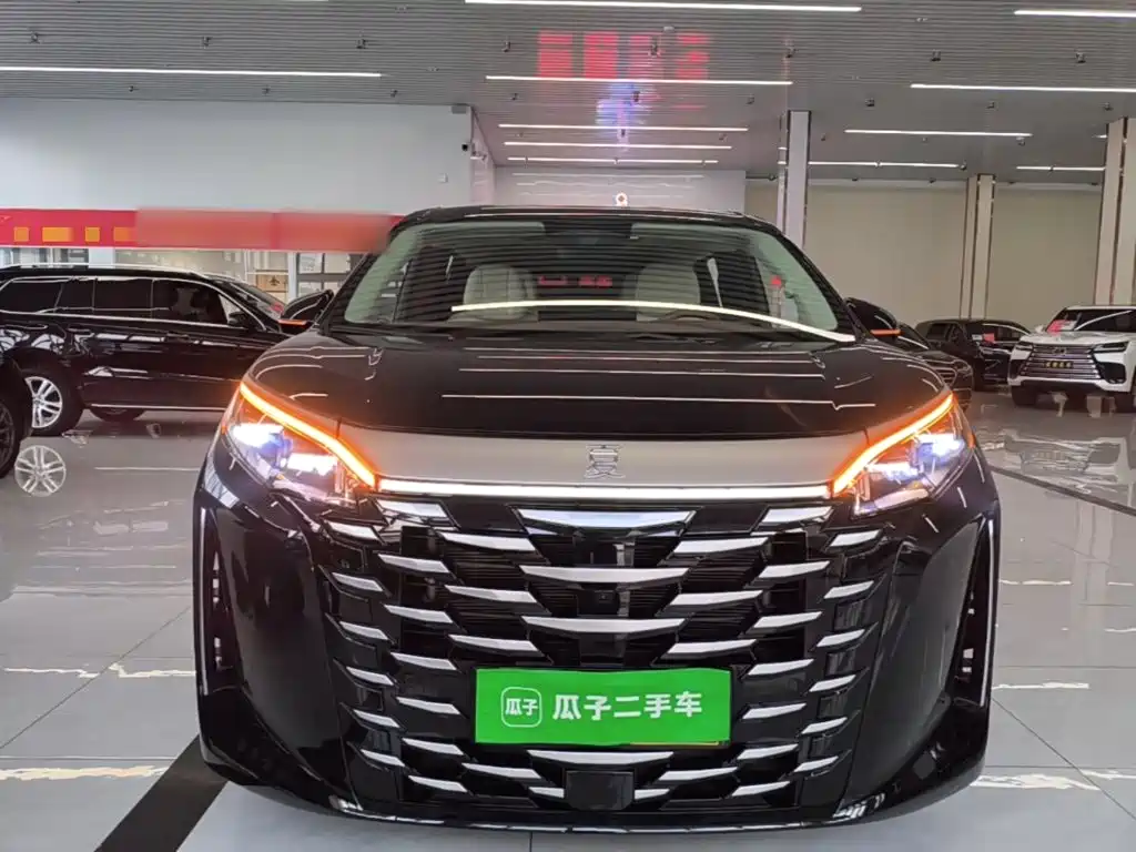 BYD Xia 2025 2025 DM-i 1.5T 100km Surpass Edition