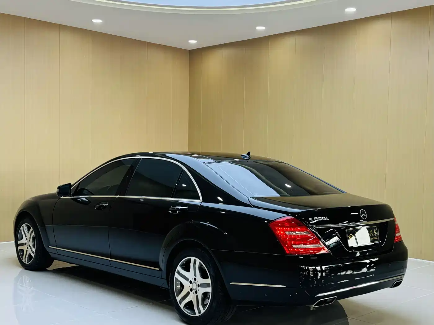 Mercedes-Benz S-Class 2010 S 600 L фото 17