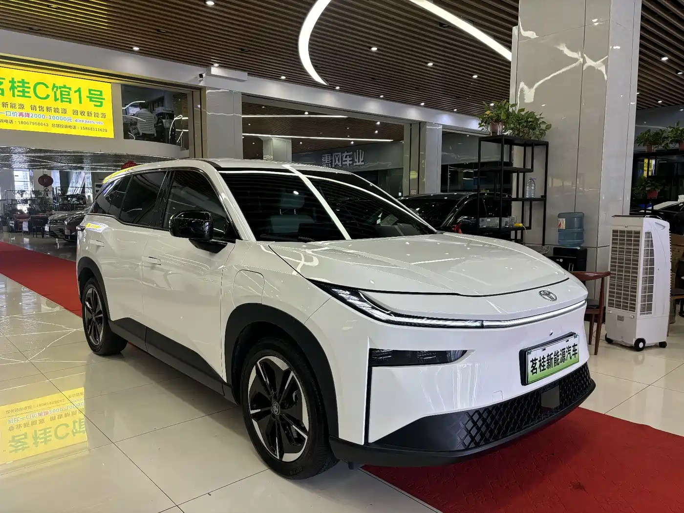 Фото 3 - Toyota BoZhi 3X