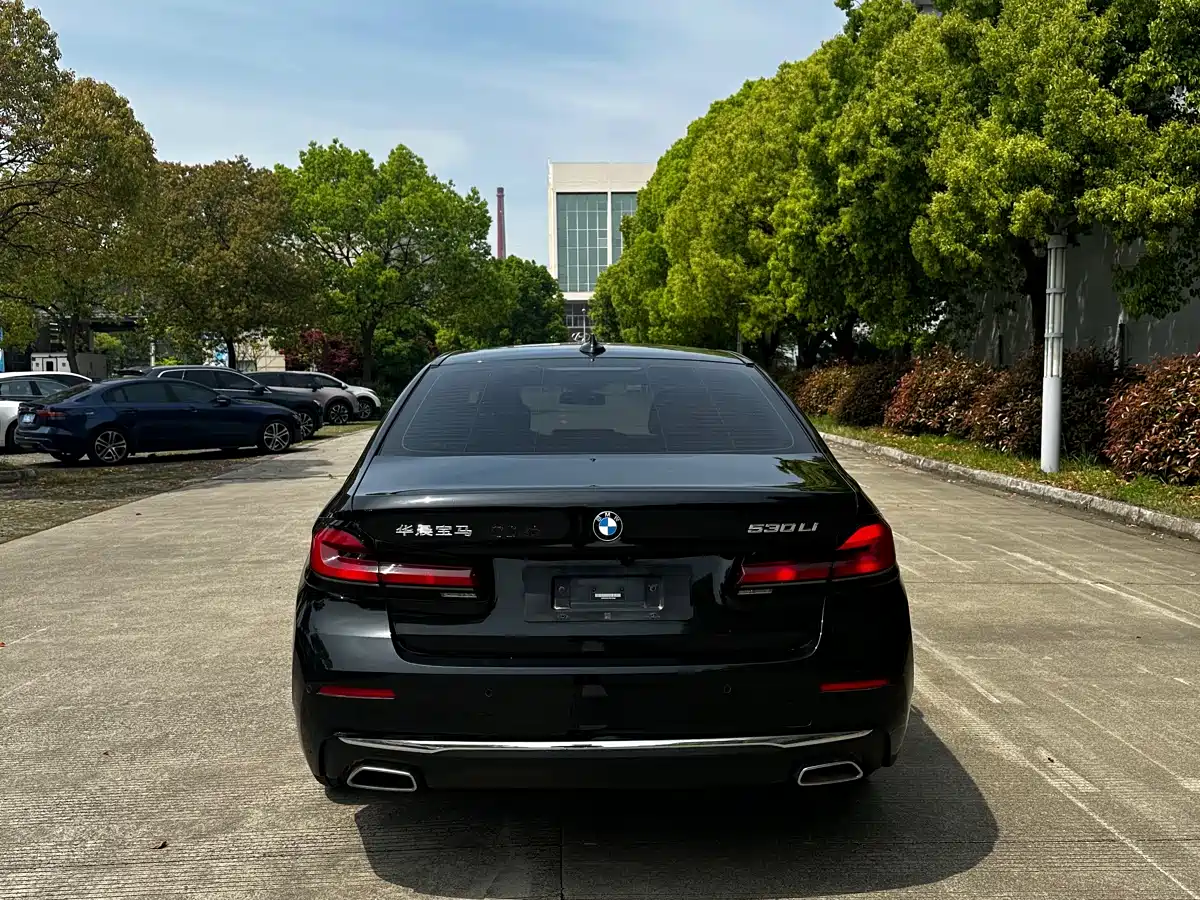 BMW 5 Series 2023 530Li Leading M Sport Package фото 6