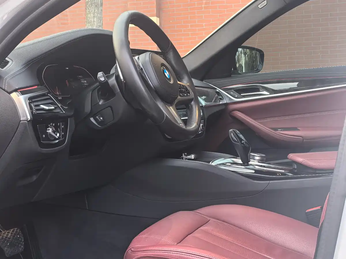 BMW 5 Series 2020 530Li Leading M Sport Package фото 4