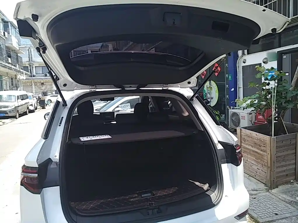 BYD Song Pro New Energy 2020 2019 EV High Power Luxury Model