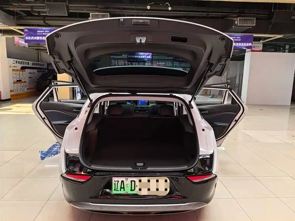 BUICK SLIGHTLY BLUE 6