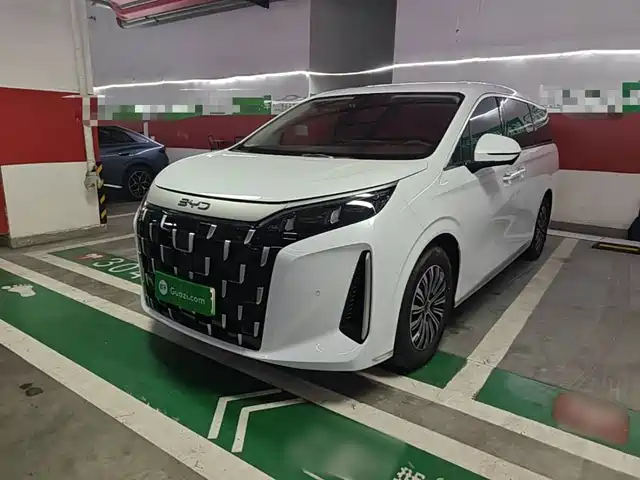 BYD BYD M9 2025 Model 1060 Pilot Edition