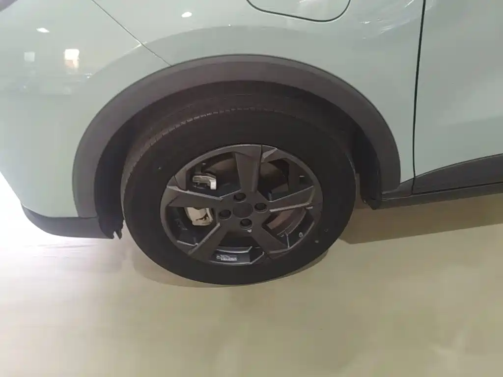 Geely Geometry E Firefly 2022 2022 401KM Delicate Tiger 4-seater