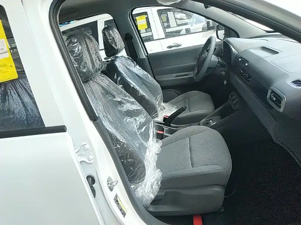 Wuling Motors Wuling Hongguang New Energy 2026 2024 Model Pure Electric 300KM Utility Version