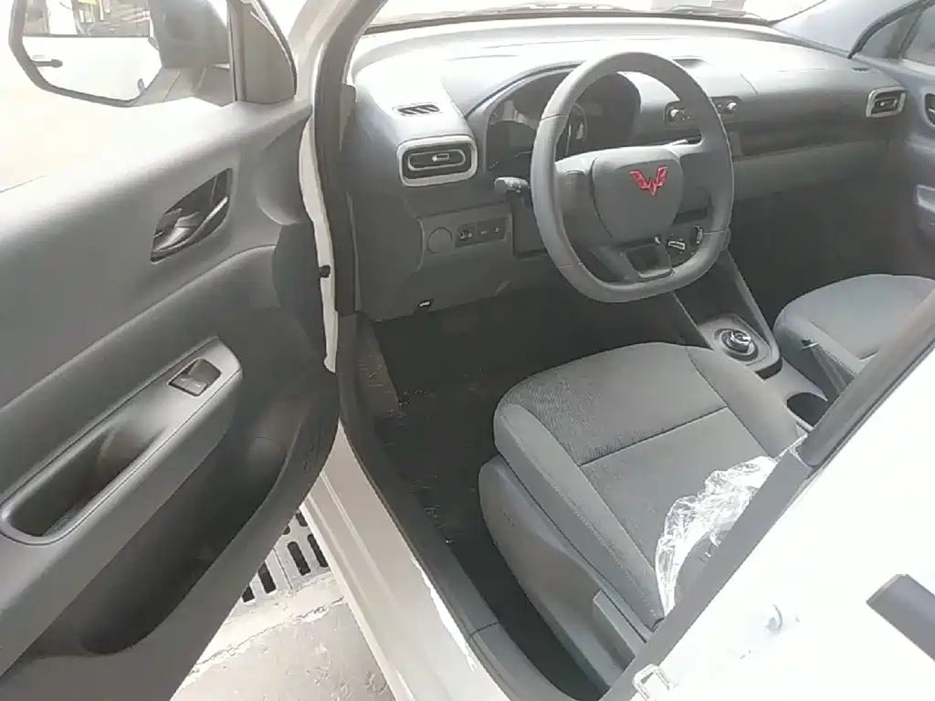 Wuling Motors Wuling Hongguang New Energy 2026 2024 Model Pure Electric 300KM Utility Version