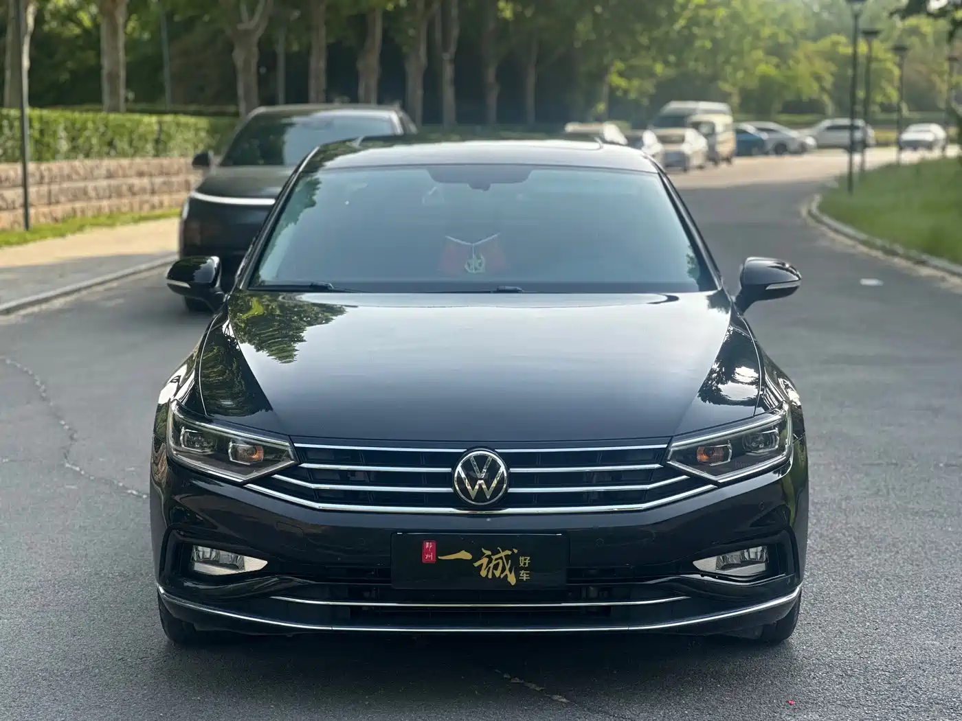 Volkswagen Magotan 2020 330TSI DSG Leading фото 2