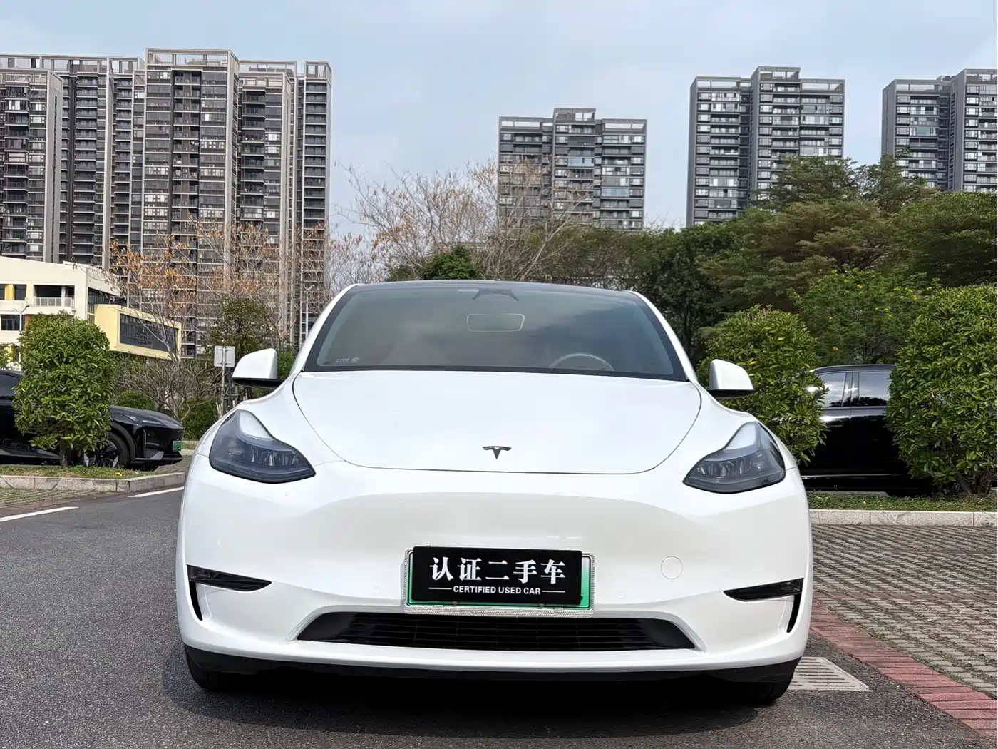 TESLA MODEL Y
