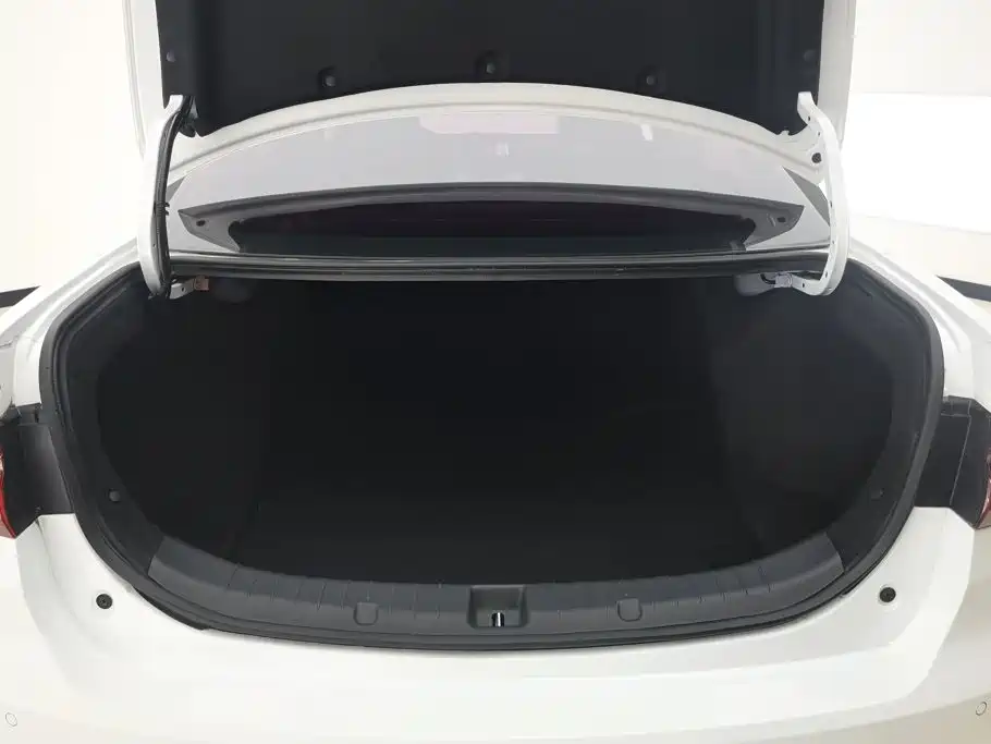 BYD Qin New Energy 2020 2019 Long Range Edition Premium
