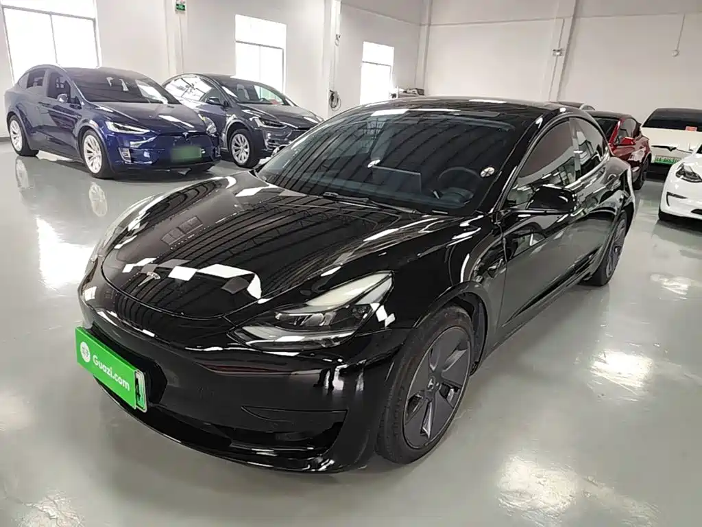 Tesla Model 3 2021