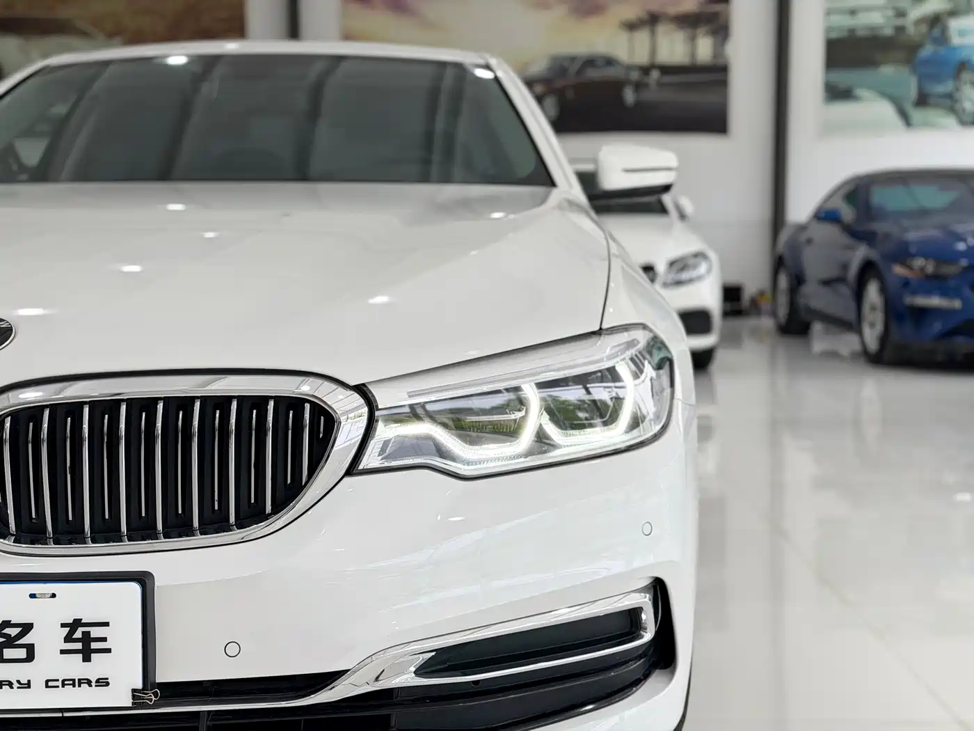 BMW 5 Series 2020 530Li xDrive Luxury Package фото 13