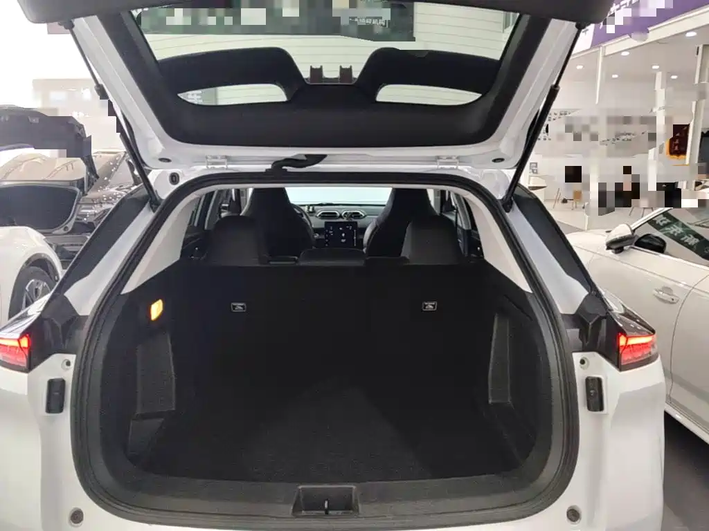 Dongfeng Aeolus SKY EV01 2024 2024 530km PRO