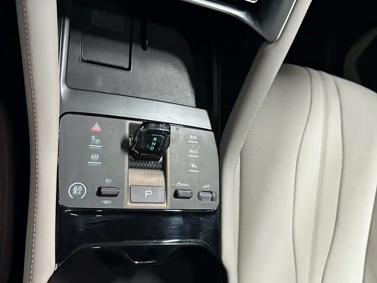 BYD SONGJIANG NEW ENERGY