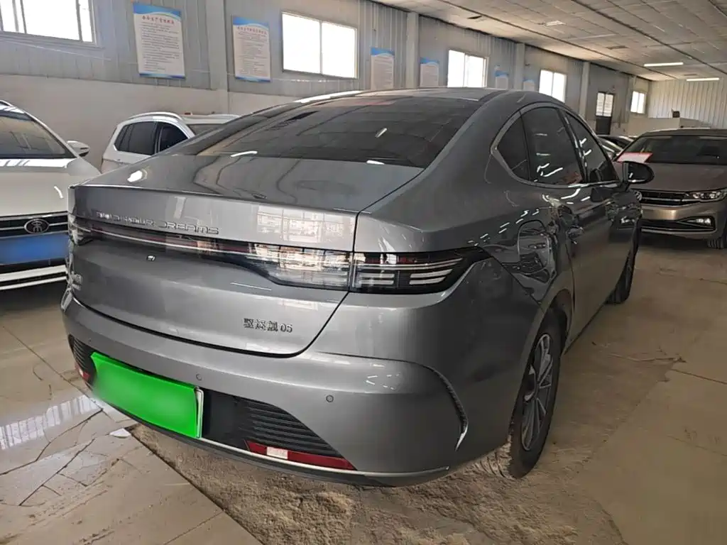 BYD Destroyer 05 2025 2024 Glory Edition DM-i 55KM Luxury