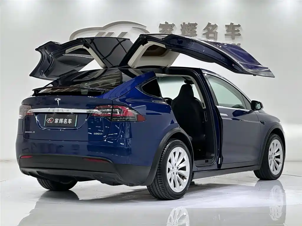 TESLA MODEL X