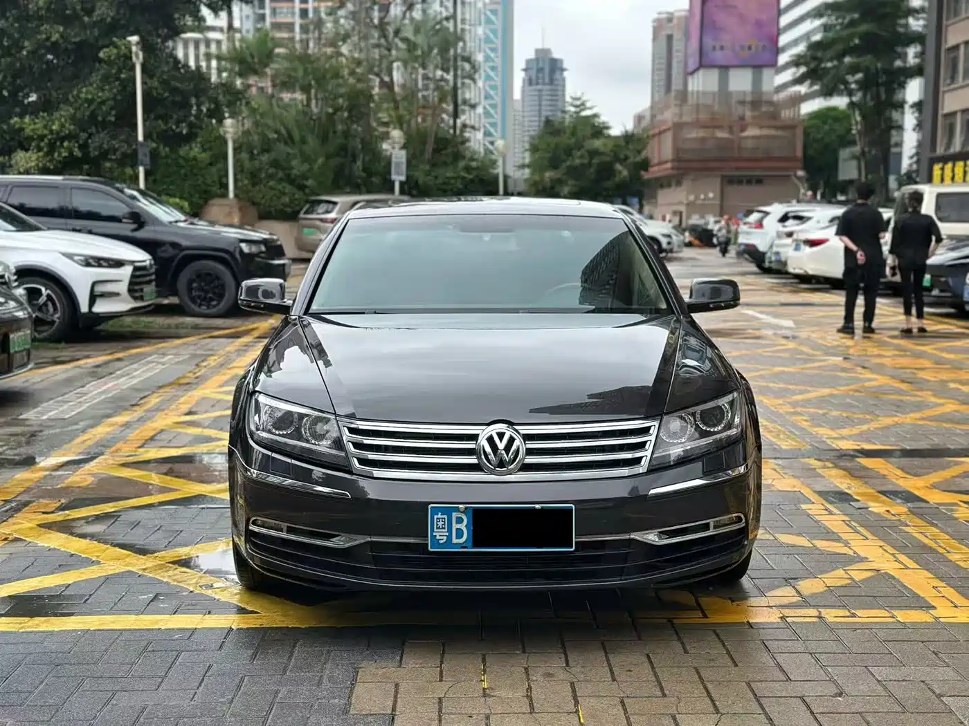 Volkswagen Phaeton 2012 3.0L Elite Custom фото 2