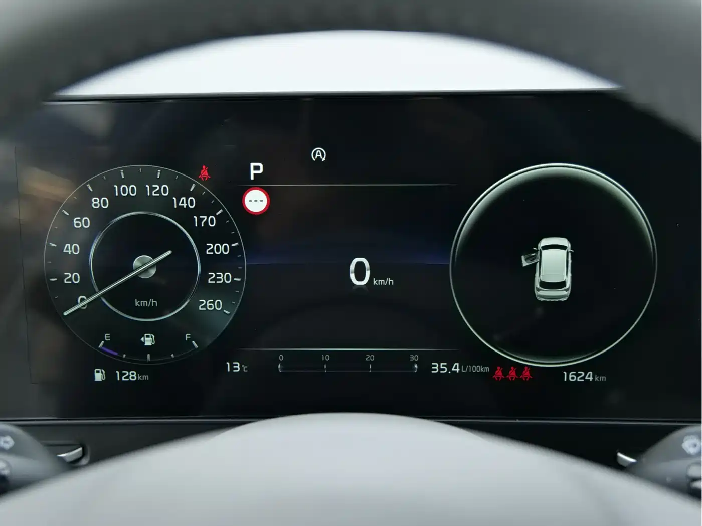 KIA LION PLATINUM EXPANDS THE WORLD