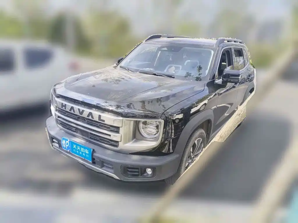 Haval Big Dog 2024 — пригон из Китая