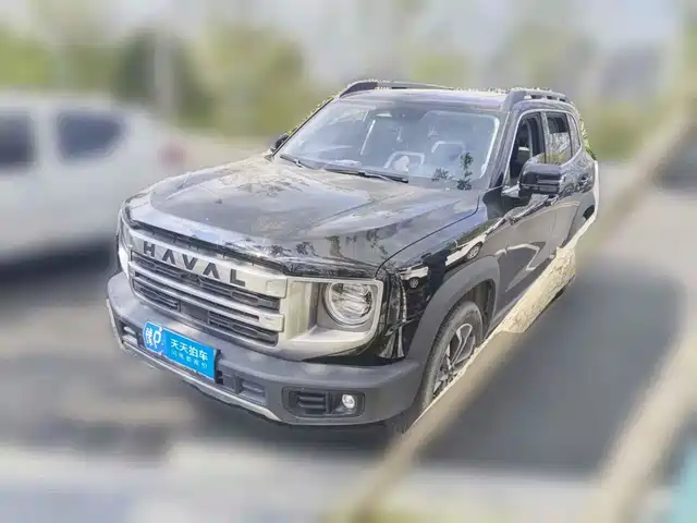 Haval Big Dog, 2024