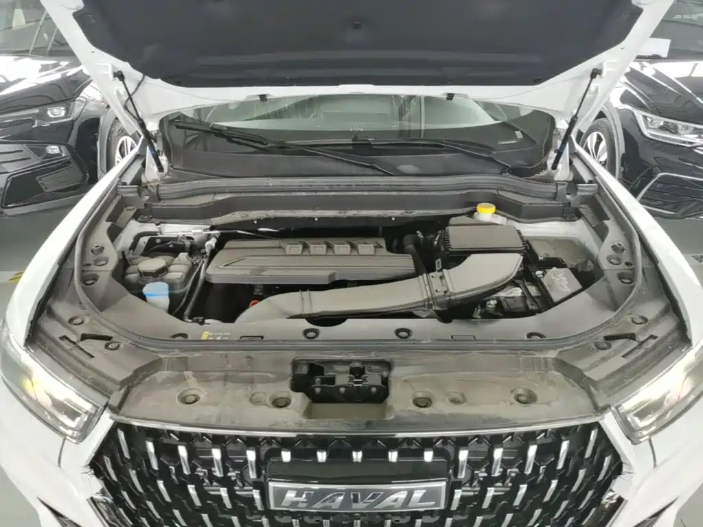 Haval H6 2026 2023 National Trend Edition 1.5T Automatic Champion