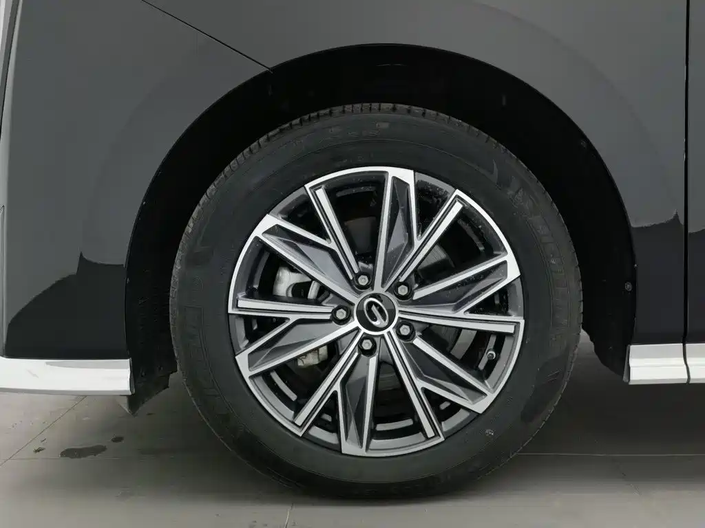 GAC Trumpchi M8, миниатюра 17