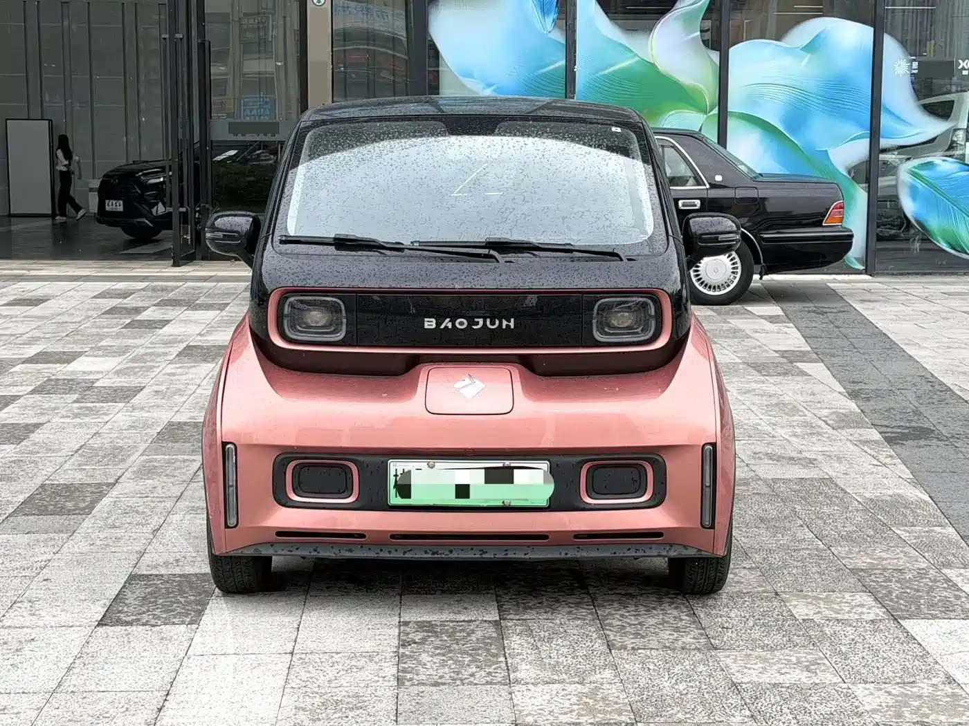 2020 Baojun E300